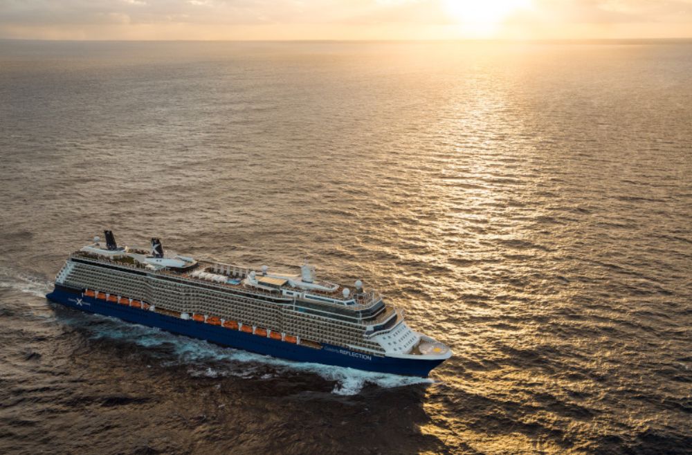 Celebrity Reflection