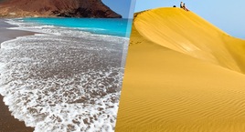 Gran Canaria y Tenerife