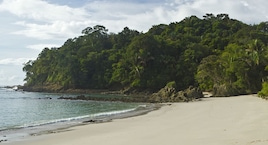 Tortuguero, Arenal, Monteverde y Manuel Antonio