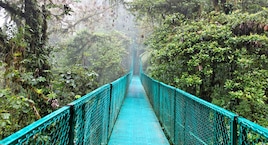 Tortuguero, Caribe, Arenal, Monteverde y Manuel Antonio