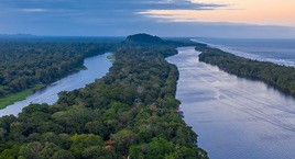 Tortuguero, Arenal, Monteverde, Manuel Antonio y noche en San José