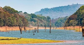 Sur de India con Lago Periyar