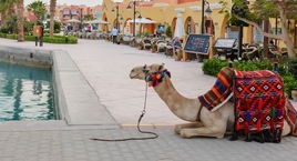 El Cairo, Crucero 4 noches y Hurghada