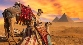 El Cairo y Crucero 7 noches