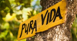 Ruta Pura Vida