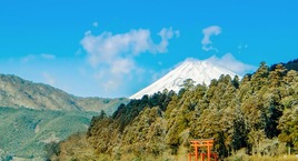 Japón y Bali