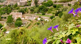 Ruta por los Pueblos de ensueño