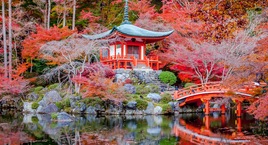 Tokio, Fuji, Kioto y Japón Central