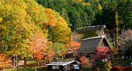 Tokio, Osaka, Kioto y Takayama