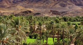 Marrakech y Desierto de Zagora en riads