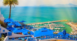 Túnez con desierto, Djerba y Sidi Bou Said