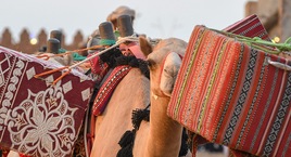 Ruta desde Yeda a Riad