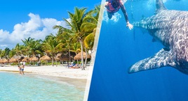 Cancún y Holbox