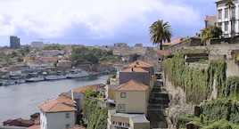 Norte Portugués