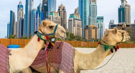 Ruta por los Cuatro Emiratos Árabes