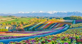 Ruta por Hokkaido