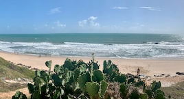 Natal