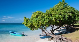 Samaná