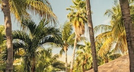 Iberostar Selection Riviera Cancún