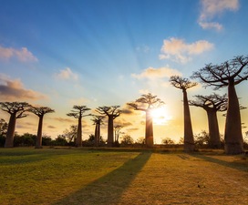 África