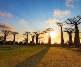 Entre Europa y África