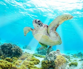 Islas Galápagos