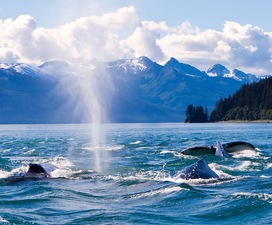 Alaska