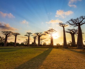 Entre Europa y África