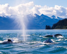 Alaska