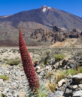 Idílica (y maravillosa) naturaleza