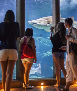 Aquarium Finisterrae