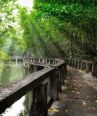 Koh Chang