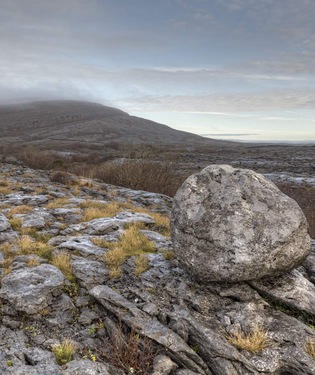 Burren