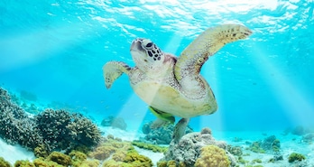 Islas Galápagos