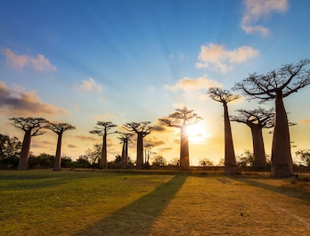 África