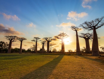 Entre Europa y África