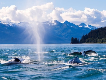 Alaska