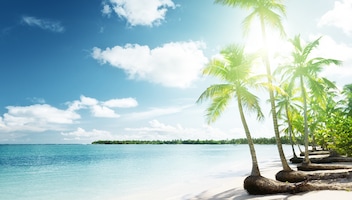 Caribe