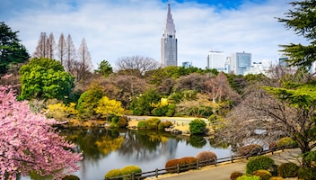 Tokio