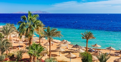 Sharm El Sheikh con snorkel en el Mar Rojo 