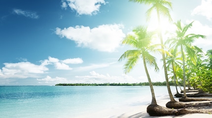 Caribe